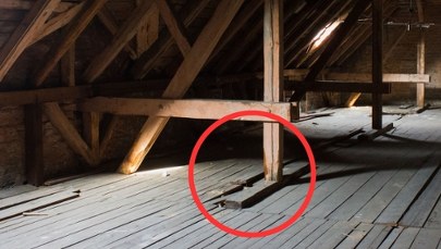 Niezwykłe odkrycie w Gliwicach. Przeleżał dekady ukryty pod podłogą