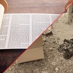 Niezwykłe odkrycie w Izraelu. Dotyczy świątyni, o której mowa w Biblii