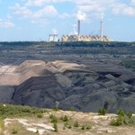 Niezwykłe odkrycie w kopalni "Bełchatów". Znalezisko sprzed 17 mln lat
