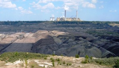 Niezwykłe odkrycie w kopalni "Bełchatów". Znalezisko sprzed 17 mln lat