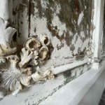 Niezwykłe odkrycie w szczecińskiej kamienicy. To XIX-wieczne polichromie 