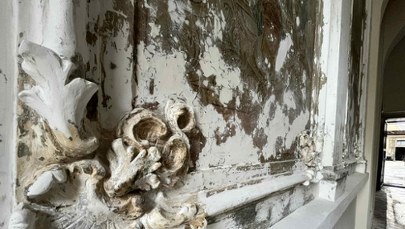 Niezwykłe odkrycie w szczecińskiej kamienicy. To XIX-wieczne polichromie 