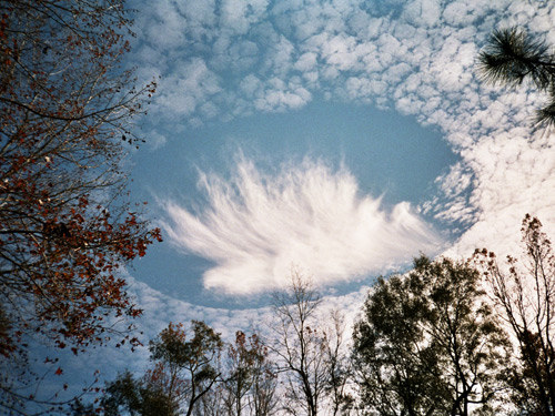 Niezwykłe "okno w chmurach" po przelocie samolotu &nbsp; /Fot. Alan Sealls