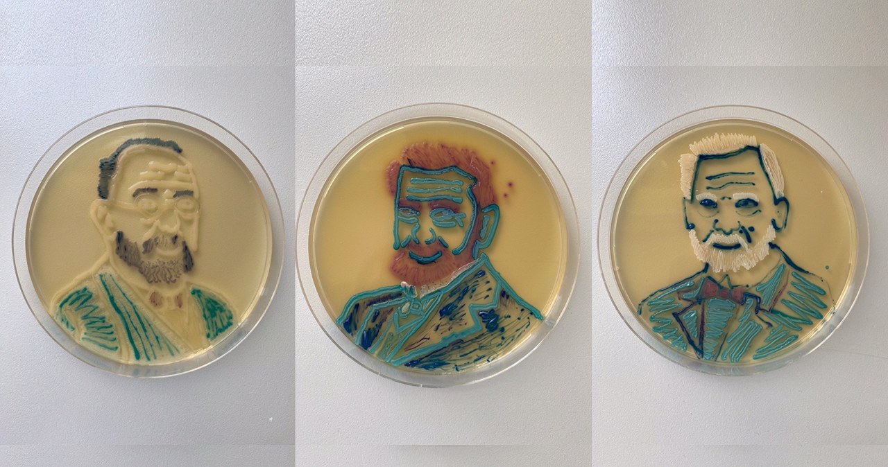 Niezwykłe portrety malowane bakteriami /Uniwersytet Przyrodniczy w Poznaniu /Facebook