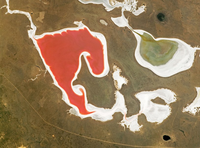 NIezwykłe różowe jezioro w Kazachstanie /NASA Earth Observatory /NASA