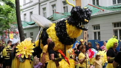 Niezwykłe smoki opanują Kraków. To będzie hipnotyzujący weekend