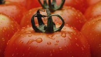Niezwykłe właściwości pomidorów