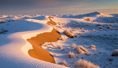 Niezwykłe zjawisko na Saharze. Występuje coraz częściej