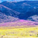 Niezwykłe zjawisko w parku narodowym. Pojawiło się po 10 latach