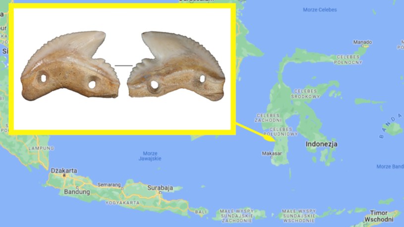 Niezwykłe znalezisko w Indonezji. To ostrza z zębów rekina /screen/Google Maps/Marcin jabłoński /materiał zewnętrzny