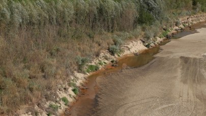 Niezwykłe znalezisko w Wiśle. To fragment drewnianej łodzi