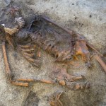 Niezwykły pochówek kobiety wikingów. Ujawnia nieznany rytuał