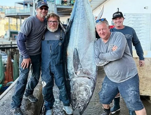 Niezwykły połów u wybrzeży Devon – tuńczyk błękitnopłetwy o wadze 210 kg /Instagram