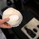 fermentacja Niezwykły wynalazek. Trudno uwierzyć, z czego zrobili bioplastik