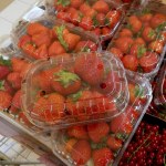 Nigdy nie jedz takich truskawek. Jeśli zauważysz, od razu wyrzuć do kosza