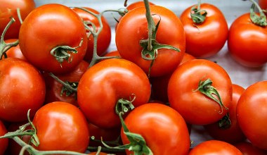 Nigdy nie trzymaj tu pomidorów. Pozbawiasz je smaku i witamin 
