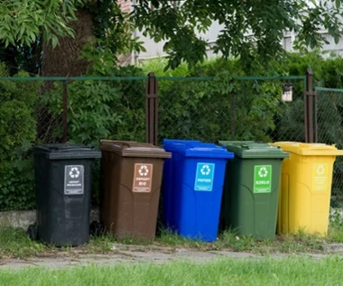 Nigdy nie wyrzucaj ich do śmieci. Już nakładają 5000 zł kary