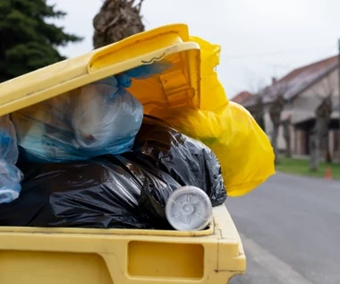 Nigdy nie wyrzucaj ich do śmietnika. Inaczej zapłacisz mandat aż 5 tys. zł