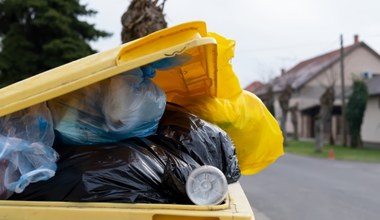 Nigdy nie wyrzucaj ich do śmietnika. Inaczej zapłacisz mandat aż 5 tys. zł