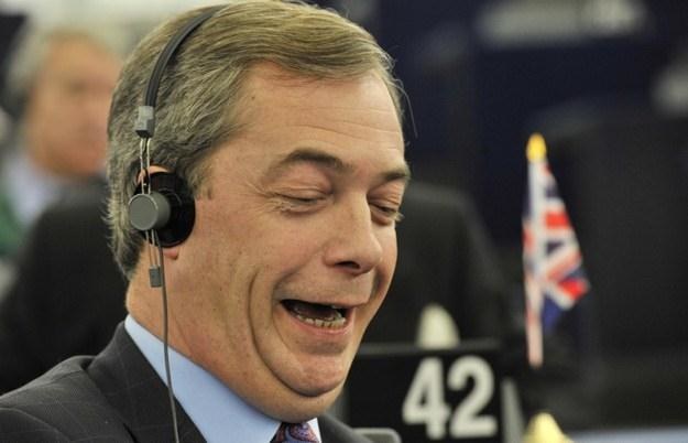 Nigel Farage, eurodeputowany /AFP