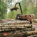 NIK nie pozostawia suchej nitki na Lasach Państwowych. Jest reakcja