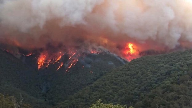 Nikt nie potrafi przewidzieć, kiedy uda się opanować pożary w Australii /DELWP GIPPSLAND HANDOUT /PAP/EPA