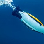 Nikt nie powstrzyma tego pingwina! Dron morski inspirowany naturą