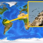 Nikt się tego nie spodziewał. Ptaki pomogły stworzyć potęgę