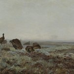 Nikt tak nie malował ptaków i zwierząt. Tłumy pchają się, by to zobaczyć