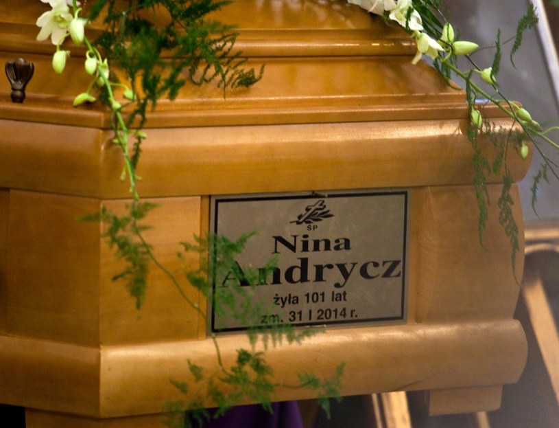 Nina Andrycz zmarła 31 stycznia 2014 roku /KAROL SEREWIS /East News