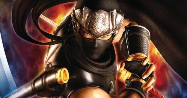 Ninja Gaiden Sigma Plus - motyw graficzny /Informacja prasowa