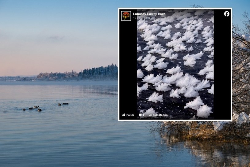 Niska temperatura sprzyja pojawianiu się niezwykłych form lodowych /Zdjęcie ilustracyjne/Lubuscy łowcy Burz/Facebook/Christel /Pixabay.com