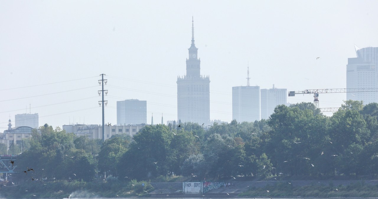 Niski stan Wisły w Warszawie