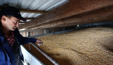 Niskie ceny w skupach to nie zmowa. UOKiK wie, jak pomóc rolnikom i rządowi