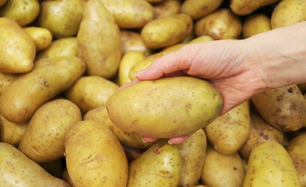 Niskie ceny wczesnych ziemniaków