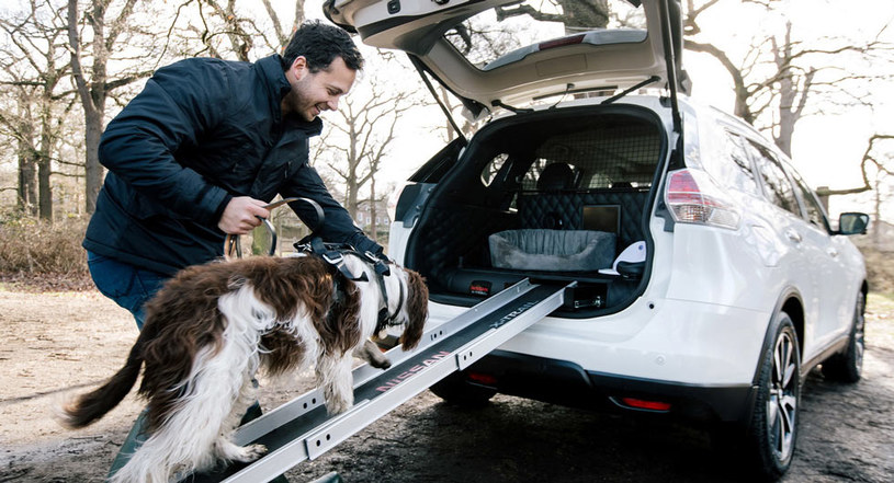 Nissan X-Trail dla psów /Informacja prasowa