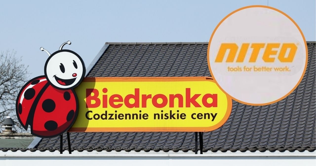 Niteo w Biedronce - od narzędzi aż po odzież roboczą. Oferta zachwyca cenami już od 7,99 zł! /adobestock/Biedronka /INTERIA.PL