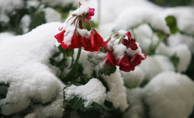 Niż Katharina i załamanie pogody: Deszcz, śnieg, przymrozki 
