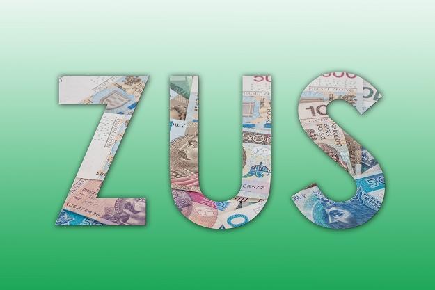 Niższe składki na ZUS dla najmniejszych firm przyniosą niższe emerytury. Fot. Arkadiusz Ziołek /East News
