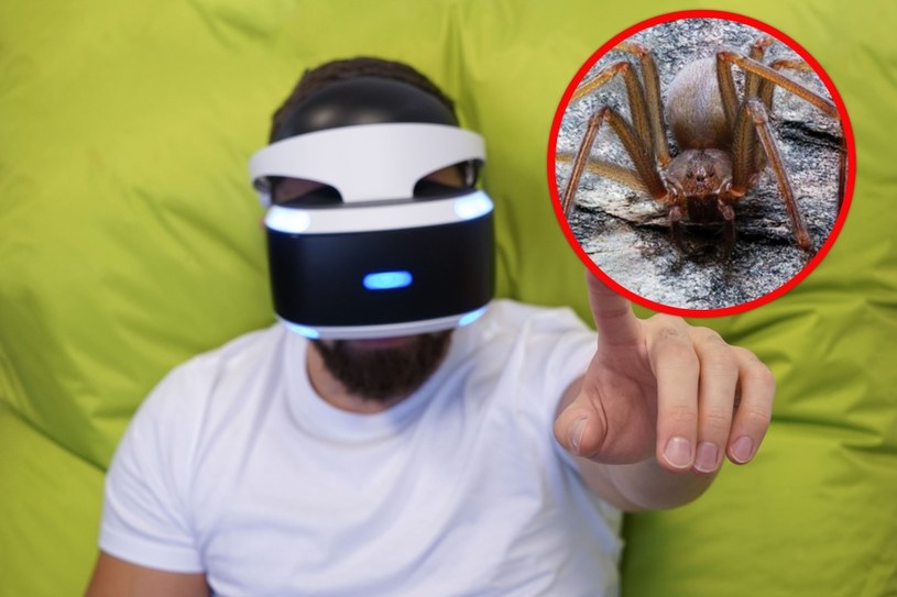 No zobacz, jaki ten pajączek śliczny... Lekarze są pewni - VR pomaga leczyć fobie