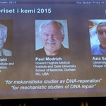 Nobel w dziedzinie chemii za zrozumienie mechanizmów naprawy DNA