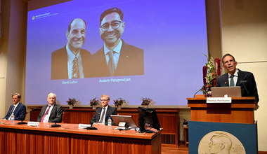 Nobel w dziedzinie medycyny za odkrycie receptorów dotyku, ciepła i zimna 