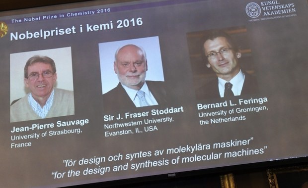 Nobel z chemii przyznany. Zdobywcy stworzyli najmniejsze na świecie maszyny molekularne