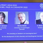 Nobel z chemii za sprytne składanie cząsteczek
