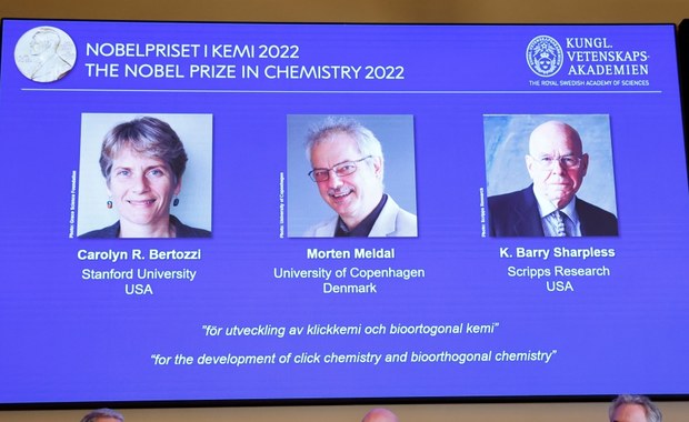 Nobel z chemii za sprytne składanie cząsteczek
