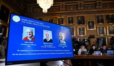 Nobel z fizyki przyznany. Znamy nazwiska laureatów