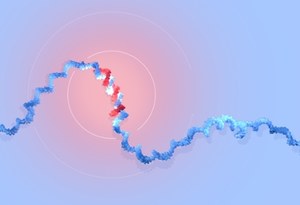 Nobel z medycyny dla odkrywców mikroRNA. Co dokładnie zbadali?