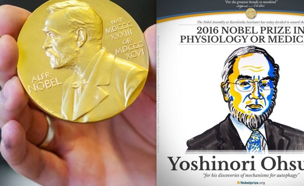 Nobel z medycyny przyznany. Laureatem został Japończyk Yoshinori Ohsumi za... "sprzątanie komórek"