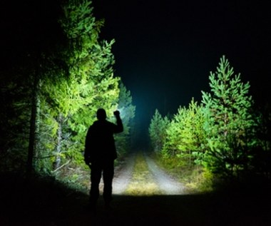 Nocna akcja policji w lesie. Jeden z mężczyzn ma teraz duże kłopoty
