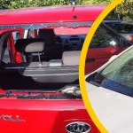 Nocna dewastacja w stolicy. Ponad 20 aut uszkodzonych